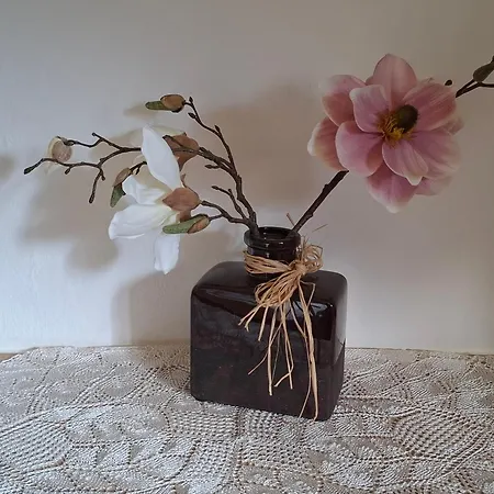 Haas Maria 아파트 노이스티프트임스튀바이탈