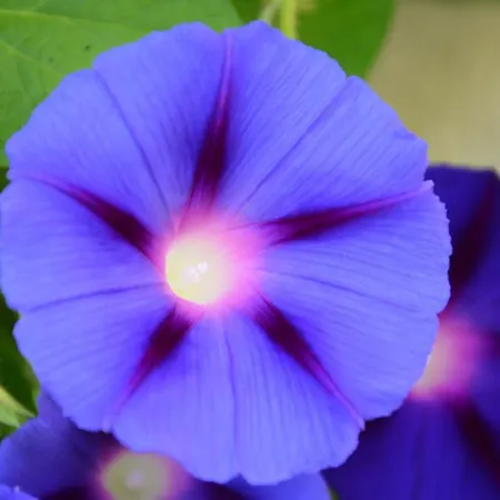 아파트 Haas Maria